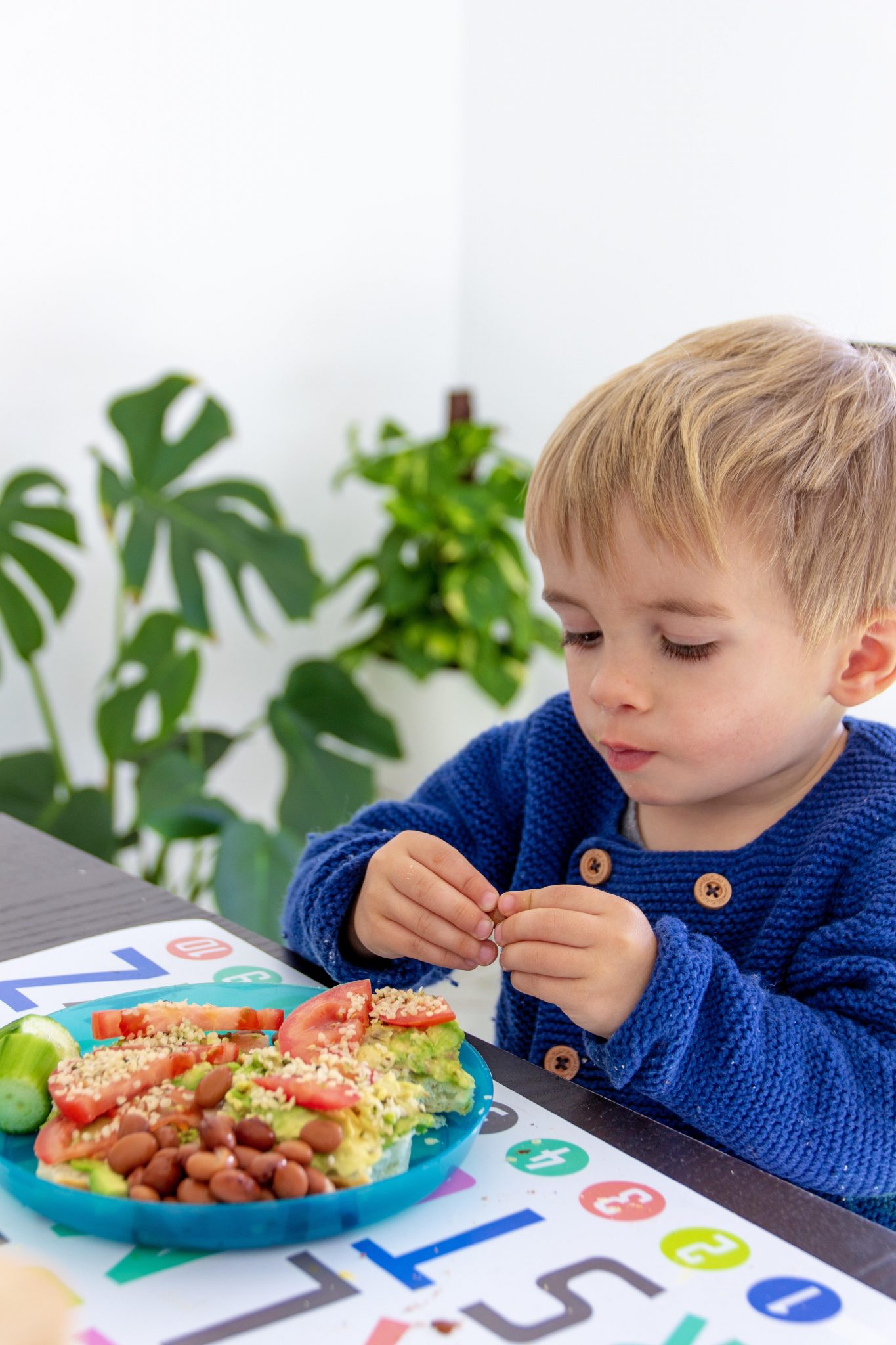 5 Meal Time Tips for Toddlers
