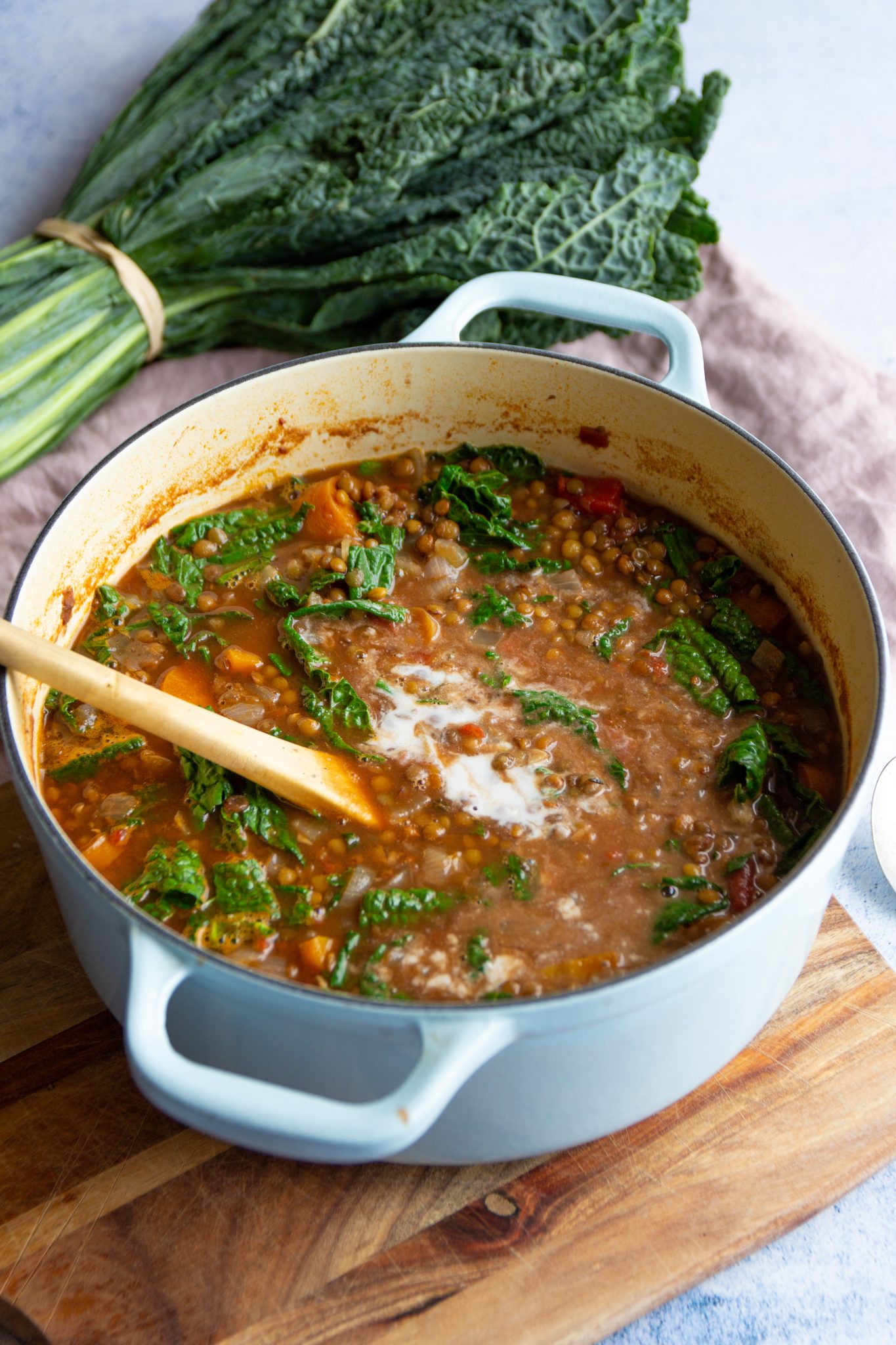 healthy vegan lentil stew recipe