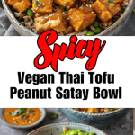 Spicy Vegan Thai Satay Bowl Recipe You Have To Try